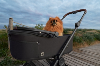 Anex Air-Q - кош за домашни любимци