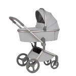 Anex-бебешка количка 2в1 FLO Frossy 2025