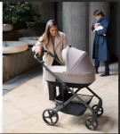 Бебешка количка Anex Modu Double Seat Greeny