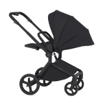 Anex-бебешка количка 2в1 FLO Lungo 2025