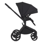 Anex-бебешка количка 2в1 FLO Lungo 2025