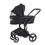 Anex-бебешка количка 2в1 FLO Lungo 2025